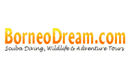 Borneo Dream Travel & Tours logo
