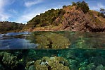 Below and Above Apo Island