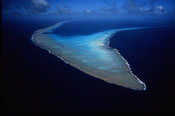 Osprey Reef in the Coral Sea.