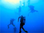 Ascending Divers