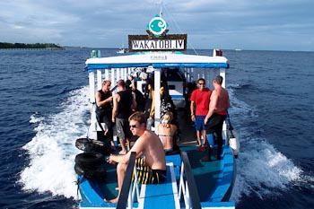 Wakatobi IV dive boat