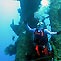 Diving Artificial Reefs