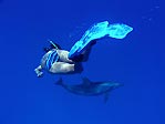 Snorkelling with dolphins, Cocos (Keeling) Islands