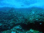 Beautiful, healthy reefs at Christmas Island