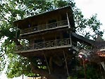 Kavieng, PNG. Treehouse