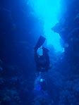 Underwater landscape at Toberua, Fiji
