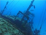 Wreck of Severence, Lady Elliot Island