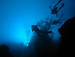 Silhouette on a wreck