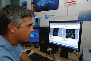 Brad Norman using the ECOCEAN system which identifies individual whale sharks by running an algorithm adapted from astronomy.