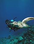 My son with Green Turtle