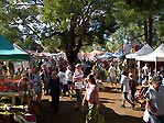 Local Markets at Bangalow near Byron Bay, Australia