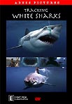 The DVD 'Tracking White Sharks' is now available at the underwater.com.au shop