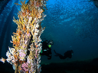 Busselton Pylon