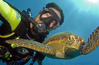 Turt and Me