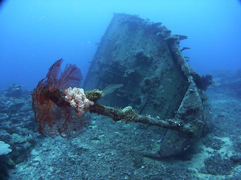 MV Belama