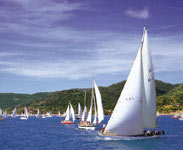 Annual Race Week - Photo and text courtesy of Tourism QLD
