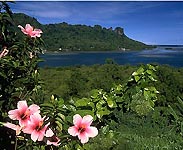 Pohnpei landscape