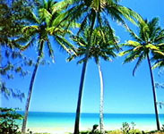 Four Mile Beach - Photo courtesy of Tourism QLD
