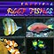 Tropical Reef Fish