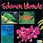 Solomon Islands - Neville Coleman's Wildlife Guide
