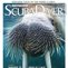 Scuba Diver AustralAsia + ThroughTheLens