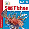 Australian Sea Fishes Fact File - kids book