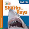 Australian Sharks and Rays Fact File - kids book